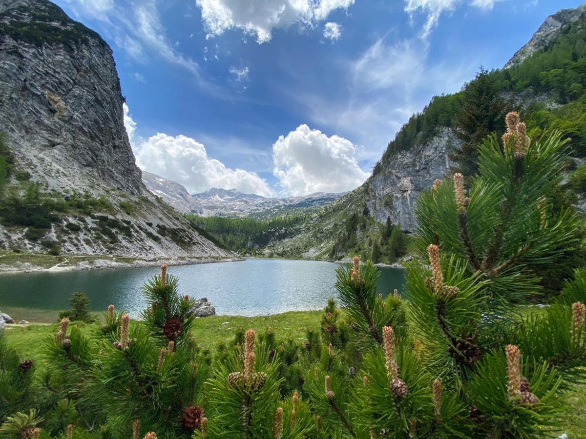 Hostel Soca Rocks Bovec Dış mekan fotoğraf