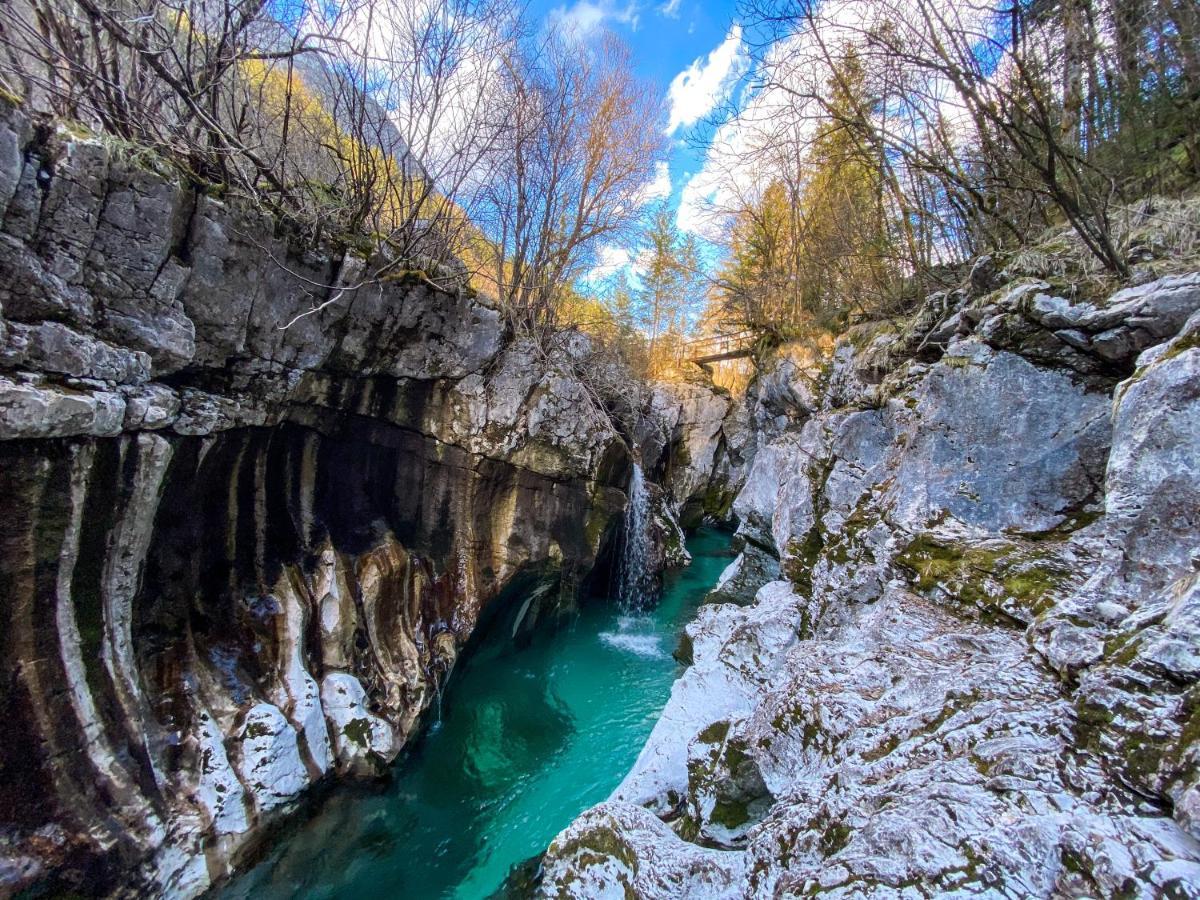 Hostel Soca Rocks Bovec Dış mekan fotoğraf